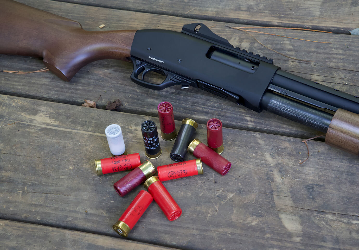 Built to Outlast Image